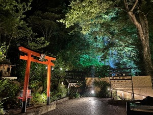 Mikuriの写メ日記｜ラグジュアリー 吉原高級店ソープ