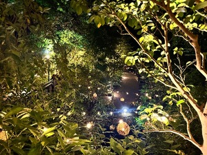 Mikuriの写メ日記｜ラグジュアリー 吉原高級店ソープ