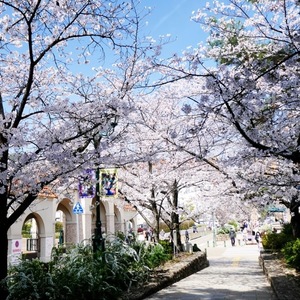 Shioriの写メ日記｜ラグジュアリー 吉原高級店ソープ
