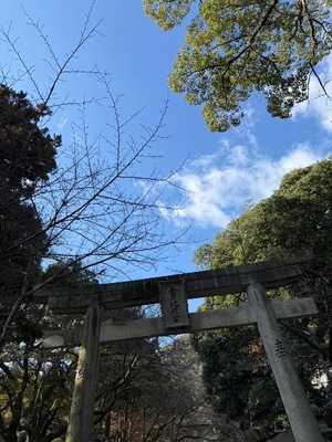 Shioriの写メ日記｜ラグジュアリー 吉原高級店ソープ