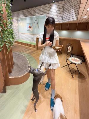 Aoiの写メ日記｜ラグジュアリー 川崎高級店ソープ