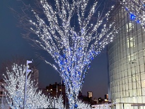 Nonokaの写メ日記｜ラグジュアリー 吉原高級店ソープ