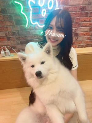 Hatsuneの写メ日記｜ラグジュアリー 吉原高級店ソープ