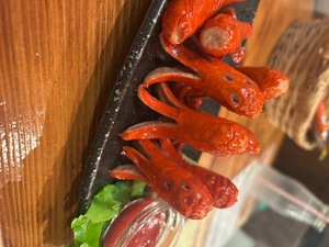 Hatsuneの写メ日記｜ラグジュアリー 吉原高級店ソープ