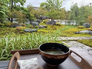 Tsukinoの写メ日記｜ラグジュアリー 吉原高級店ソープ