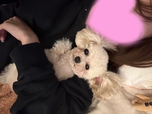 Serenaの写メ日記｜ラグジュアリー 吉原高級店ソープ