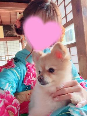 Serenaの写メ日記｜ラグジュアリー 吉原高級店ソープ