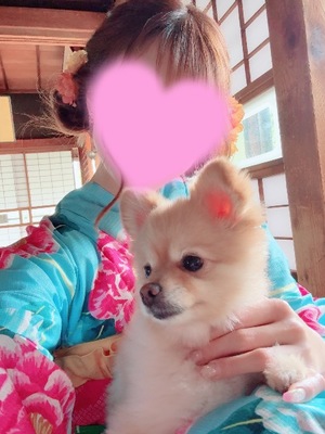 Serenaの写メ日記｜ラグジュアリー 吉原高級店ソープ
