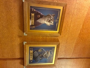 Chihiroの写メ日記｜ラグジュアリー 吉原高級店ソープ