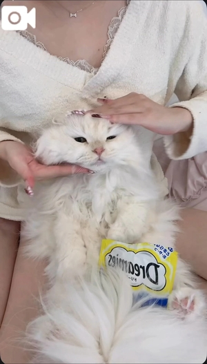 つむぎの写メ日記｜聖女～マリア～ 吉原高級店ソープ