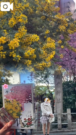 ひなの写メ日記｜聖女～マリア～ 吉原高級店ソープ