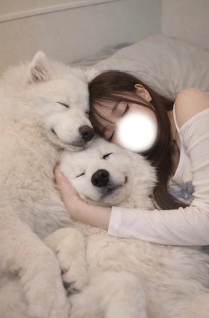 うたの写メ日記｜聖女～マリア～ 吉原高級店ソープ