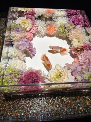 ましろの写メ日記｜聖女～マリア～ 吉原高級店ソープ