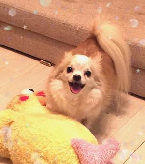 一条光の写メ日記｜オペラ 吉原高級店ソープ