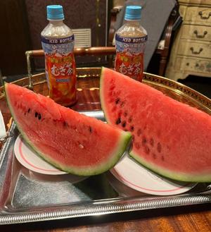 みうの写メ日記｜王室 吉原高級店ソープ