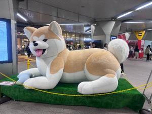 りかの写メ日記｜王室 吉原高級店ソープ