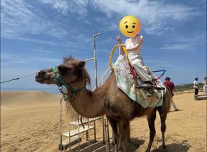 めいの写メ日記｜王室 吉原高級店ソープ