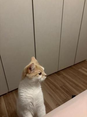 亜依の写メ日記｜王室 吉原高級店ソープ