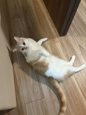 亜依の写メ日記｜王室 吉原高級店ソープ