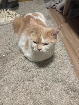 亜依の写メ日記｜王室 吉原高級店ソープ