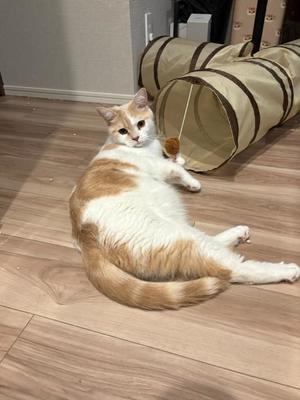 亜依の写メ日記｜王室 吉原高級店ソープ