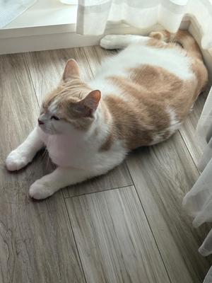 亜依の写メ日記｜王室 吉原高級店ソープ