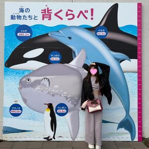 うたの写メ日記｜王室 吉原高級店ソープ