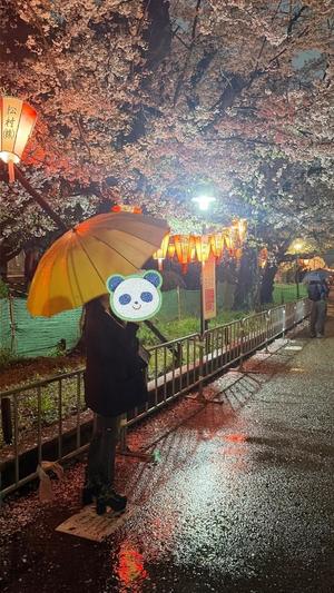 ゆいの写メ日記｜王室 吉原高級店ソープ