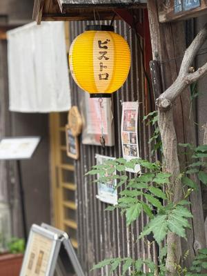 七瀬の写メ日記｜王室 吉原高級店ソープ