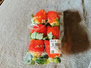 花の写メ日記｜王室 吉原高級店ソープ