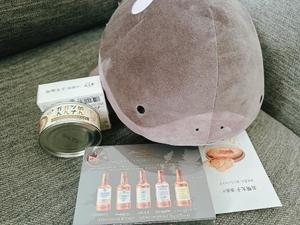 花の写メ日記｜王室 吉原高級店ソープ