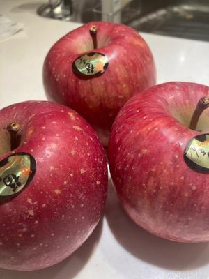 東城の写メ日記｜パンドラ 吉原高級店ソープ