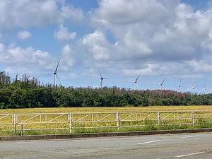 日向の写メ日記｜パンドラ 吉原高級店ソープ