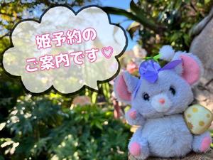 朝日奈の写メ日記｜パンドラ 吉原高級店ソープ