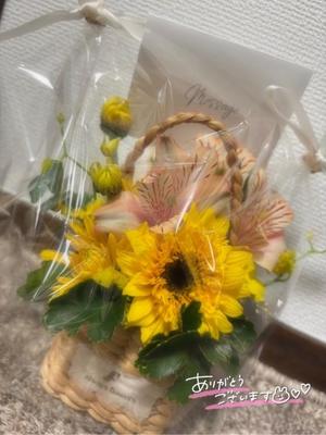 椎名の写メ日記｜パンドラ 吉原高級店ソープ