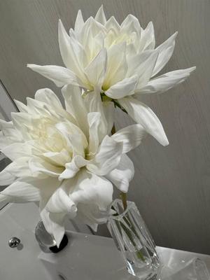 松嶋の写メ日記｜パンドラ 吉原高級店ソープ