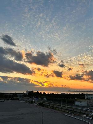 桜井の写メ日記|パンドラ 吉原高級店ソープ