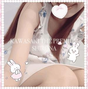 Shironaの写メ日記｜プレミアム 川崎高級店ソープ