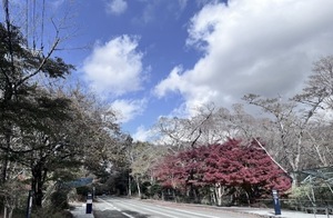 Rinkaの写メ日記｜プレミアム 吉原高級店ソープ