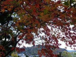 Hinataの写メ日記｜プレミアム 吉原高級店ソープ