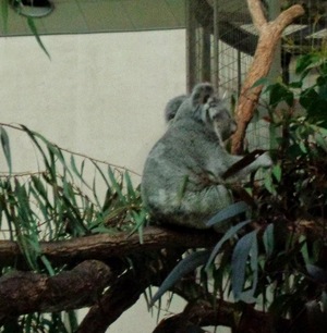 Hinataの写メ日記｜プレミアム 吉原高級店ソープ