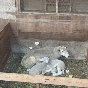 Mitsuの写メ日記｜プレミアム 吉原高級店ソープ