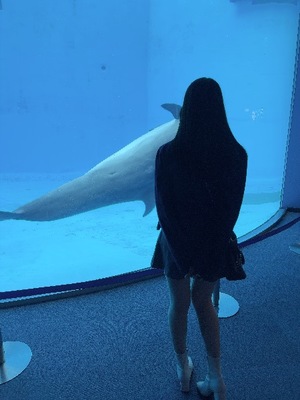 Kashuの写メ日記｜プレミアム 吉原高級店ソープ