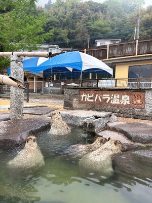 Kashuの写メ日記｜プレミアム 吉原高級店ソープ