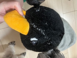 Kuraraの写メ日記｜プレミアム 吉原高級店ソープ