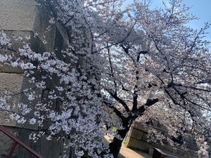 Kuraraの写メ日記｜プレミアム 川崎高級店ソープ