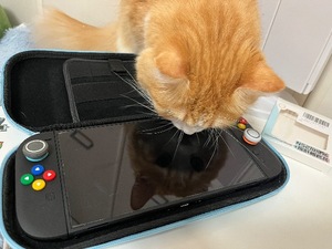 Kuraraの写メ日記｜プレミアム 吉原高級店ソープ