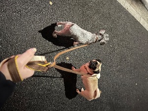 Kuraraの写メ日記｜プレミアム 吉原高級店ソープ