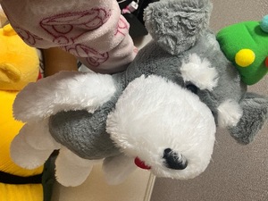 Kuraraの写メ日記｜プレミアム 吉原高級店ソープ