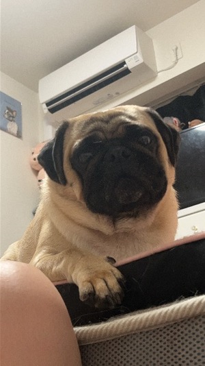 Kuraraの写メ日記｜プレミアム 吉原高級店ソープ